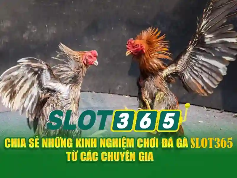 Việt Vị Trong Bóng Đá