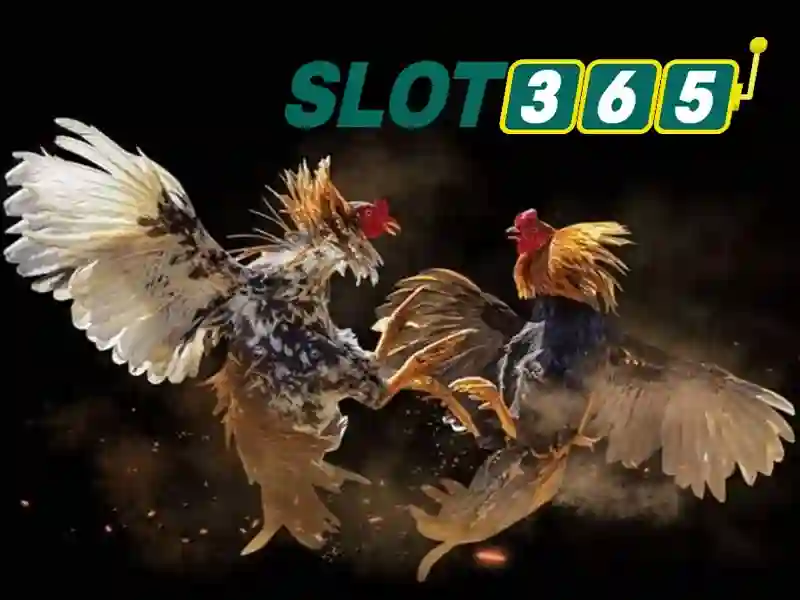Nguồn gốc và sứ mệnh của hỗ trợ Slot365