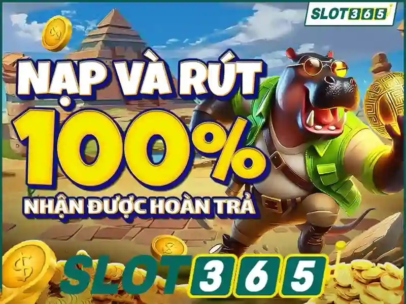 live slot365 login – Giới thiệu và bối cảnh