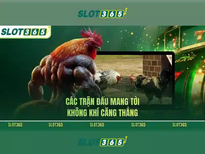 Ưu đãi và trò chơi nổi bật