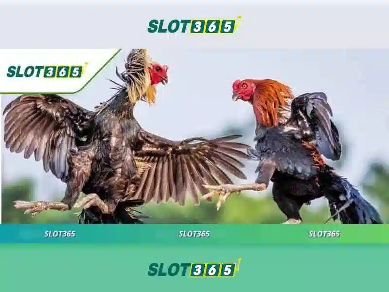Việt Vị Trong Bóng Đá