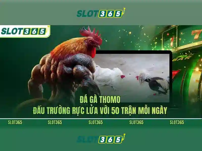 Việt Vị Trong Bóng Đá