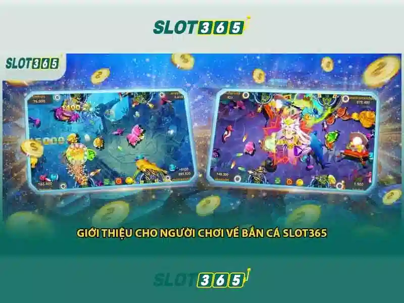 tầm nhìn phát triển và hướng đi tương lai của phiên bản mới Slot365