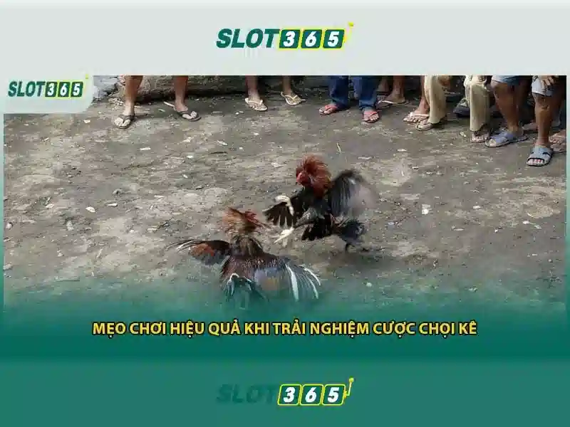 Việt Vị Trong Bóng Đá