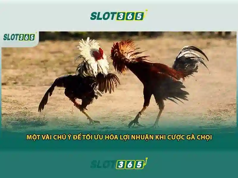 asia slot365 login – Tổng quan và giá trị cốt lõi