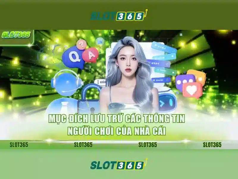 Giao diện và trải nghiệm người dùng