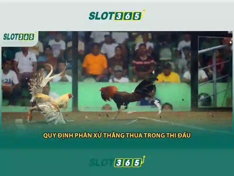 Việt Vị Trong Bóng Đá