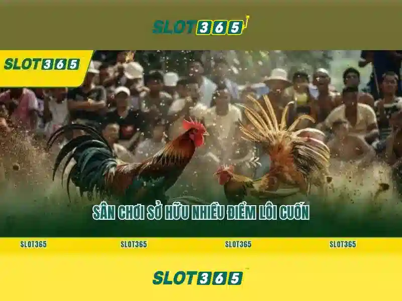 Giao diện và trải nghiệm người dùng