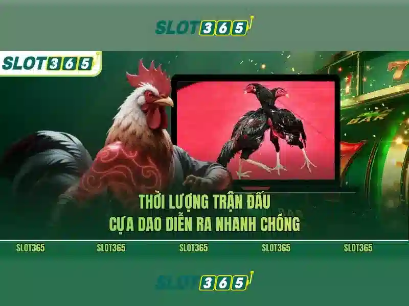 An toàn thanh toán và hỗ trợ khách hàng<h>Hướng dẫn đăng ký và nhận thưởng</h><p><span style=