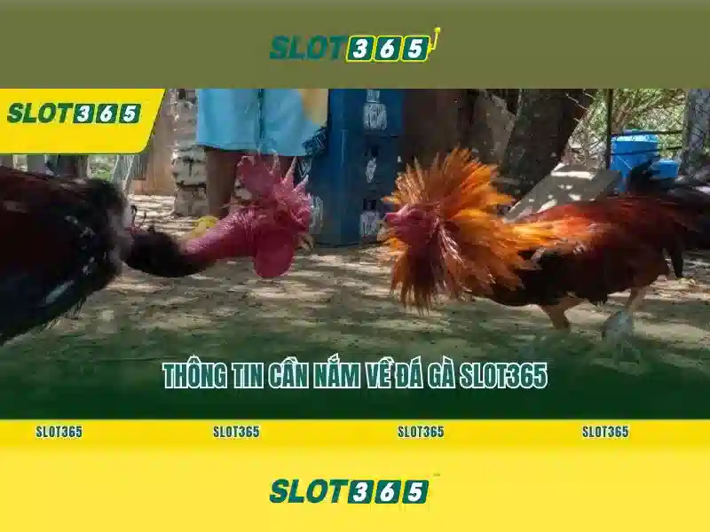 Việt Vị Trong Bóng Đá