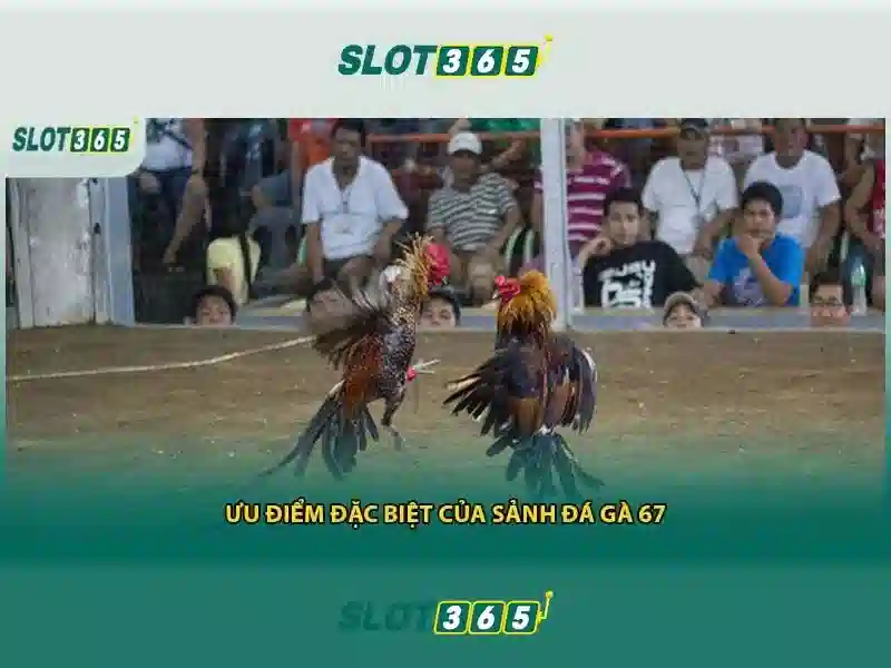 slot365 tải app ios – Chủ đề và giá trị cốt lõi