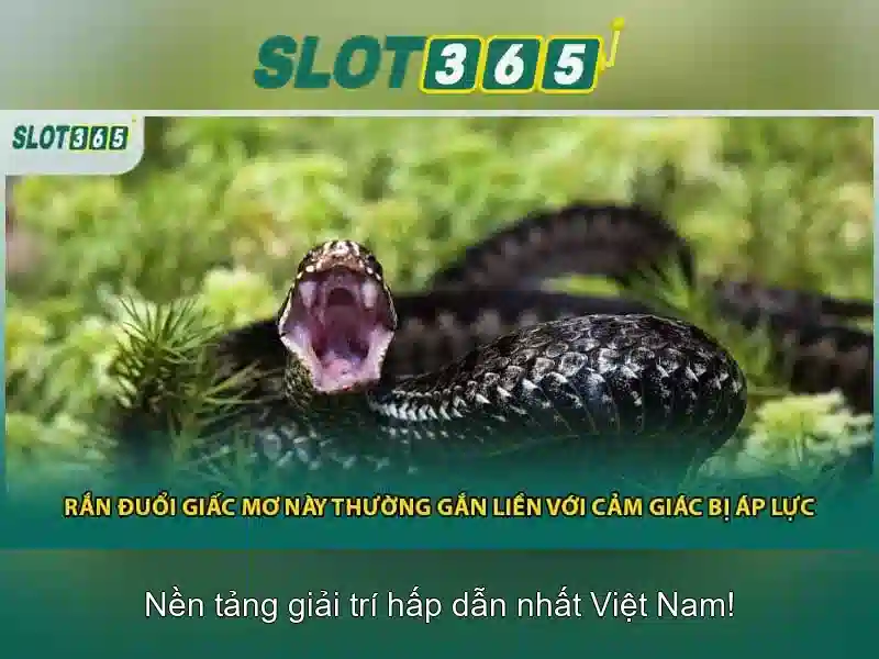 Bull Bull trực tuyến