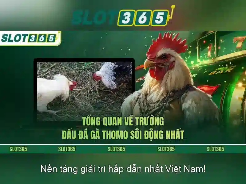 Bull Bull trực tuyến