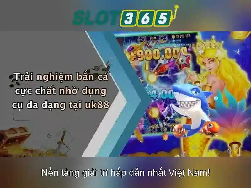 Trải nghiệm người dùng và thiết kế giao diện