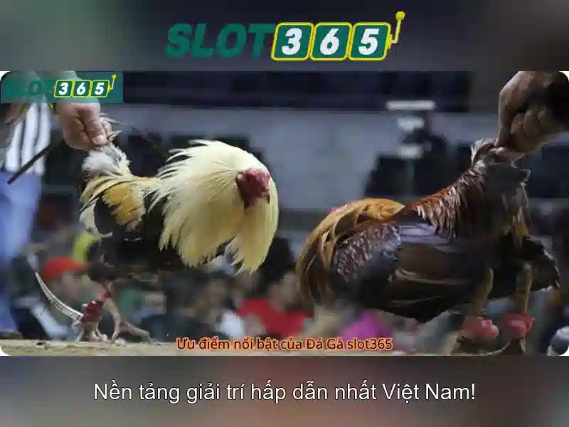 Trải nghiệm người dùng mượt mà và bảo mật cao