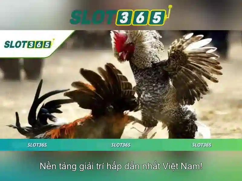 Cách bắt đầu với Slot365