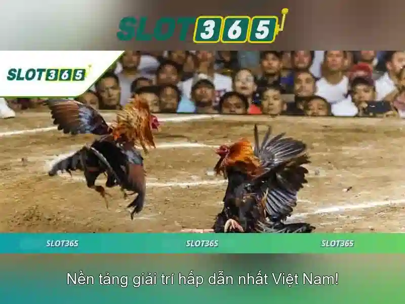 An toàn và thanh toán<h>Tương thích di động và hỗ trợ khách hàng</h><p><span style=
