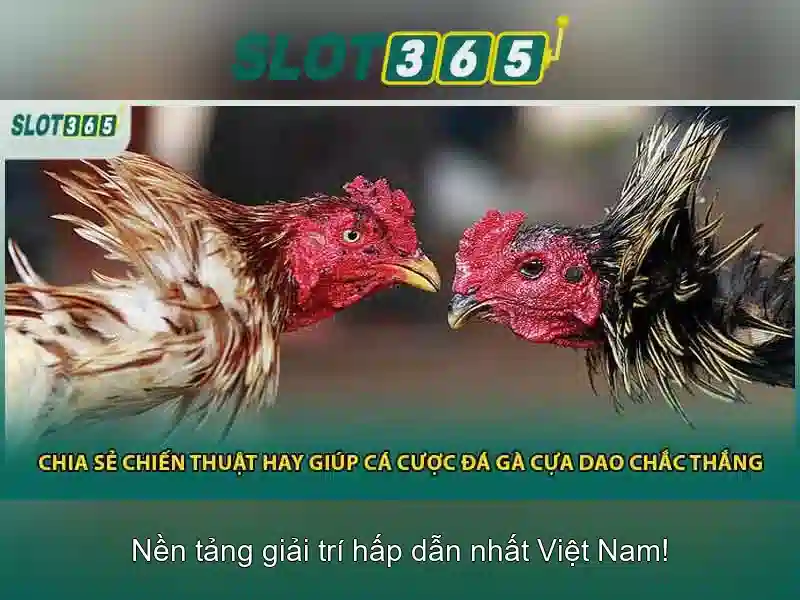 Slot365 là gì và tại sao ngày càng được yêu thích
