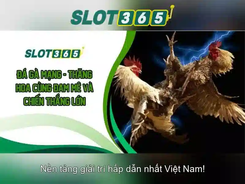 Tải Slot365 – Tổng quan chủ đề và Giá trị cốt lõi