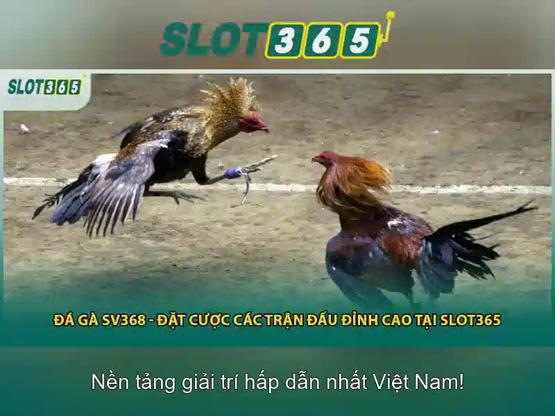 Việt Vị Trong Bóng Đá