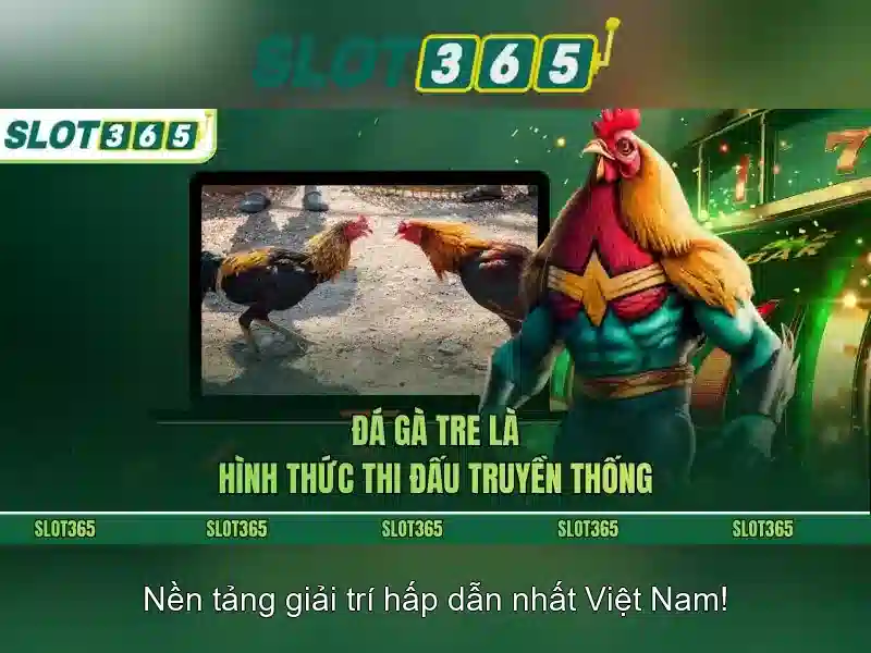 slot365 login – Chủ đề tổng quan và giá trị cốt lõi