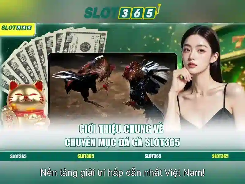 Trải nghiệm người dùng và phản hồi cộng đồng