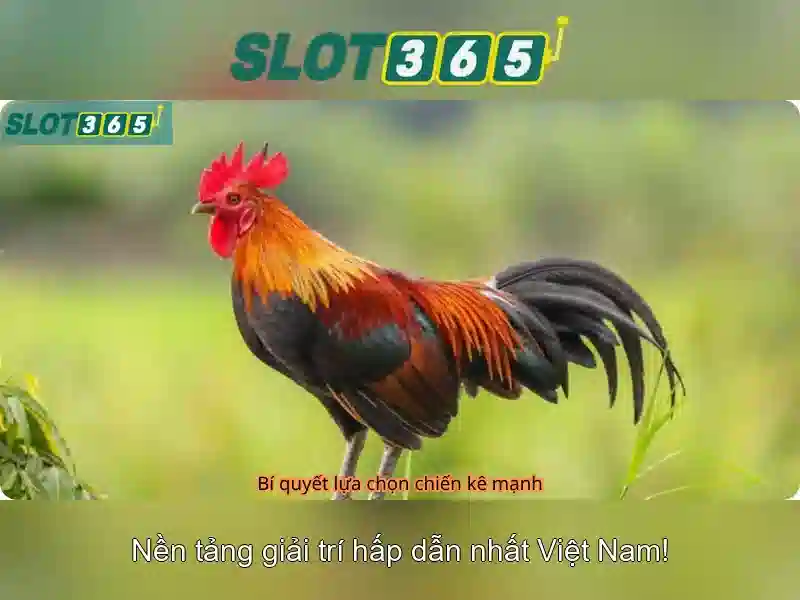 An toàn và bảo mật
