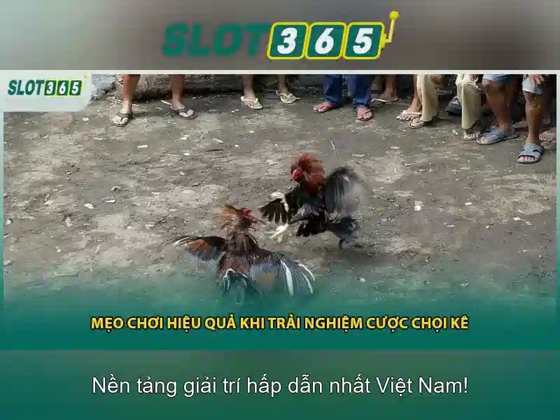 Danh mục trò chơi và chất lượng nhà cung cấp