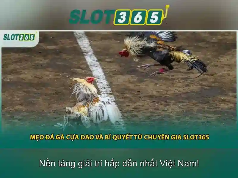 Tính năng nổi bật