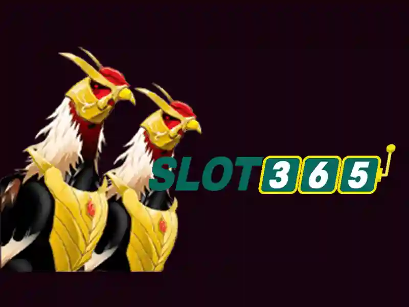 phiên bản mới Slot365 – Sản phẩm và dịch vụ cốt lõi