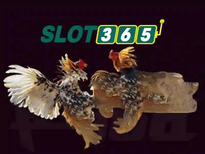 Tóm lại và lời mời trải nghiệm Slot365 uy tín không