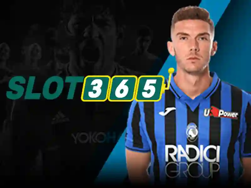 Trải nghiệm người dùng và phản hồi từ cộng đồng