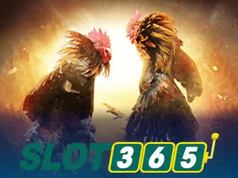Nguồn gốc và sứ mệnh của Slot365